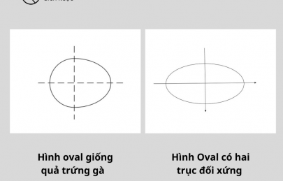 Bộ sưu tập mẫu kính oval nam nữ thời trang, giá tốt
