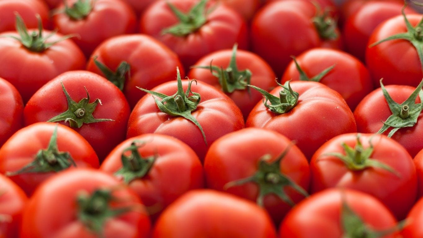 Tin đồn ăn cà chua chữa cận thị