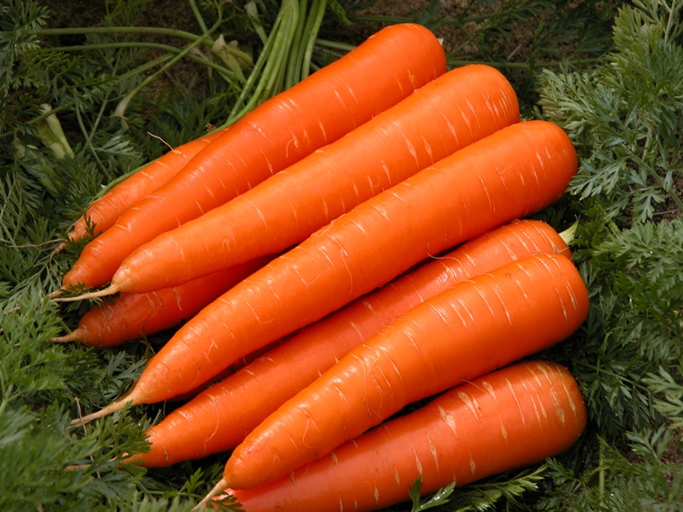 thực phẩm tốt cho mắt cà rốt 
